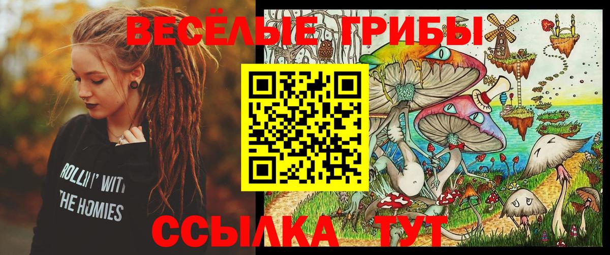 Псилоцибиновые грибы мицелий Железногорск