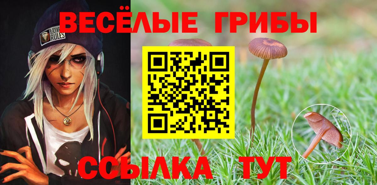 Железногорск  Псилоцибиновые грибы Psilocybine cubensis  Вход с VPN  Галлюциногенные грибы мицелий 